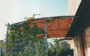 Struttura in ferro x pergola